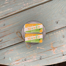 Load image into Gallery viewer, Surf's Up Shimmering Lip Balm Vintage Tin