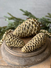 Load image into Gallery viewer, Nature's Masterpiece Pinecone Ornament