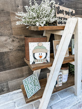 Load image into Gallery viewer, 3D Penguin Winter Tiered Tray Set