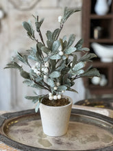 Load image into Gallery viewer, Ice Kissed Mistletoe Tree - Christmas Greenery - Winter Decor