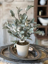 Load image into Gallery viewer, Ice Kissed Mistletoe Tree - Christmas Greenery - Winter Decor