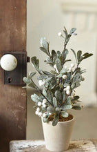 Load image into Gallery viewer, Ice Kissed Mistletoe Tree - Christmas Greenery - Winter Decor