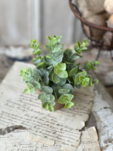 Load image into Gallery viewer, Gatehouse Herb Pot - Greenery