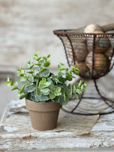 Load image into Gallery viewer, Gatehouse Herb Pot - Greenery