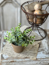 Load image into Gallery viewer, Gatehouse Herb Pot - Greenery