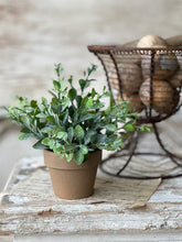 Load image into Gallery viewer, Gatehouse Herb Pot #2 - Greenery