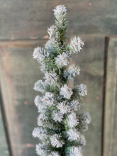 Load image into Gallery viewer, Snow Tipped Pine Tree - Christmas Greenery - Winter Decor