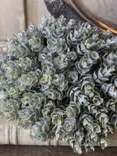 Load image into Gallery viewer, Frost Gleam Hops Half Sphere - Christmas Greenery - Winter Decor