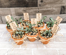 Load image into Gallery viewer, Thanks For Helping Me Grow Plant Pick - Teacher Appreciation Gift