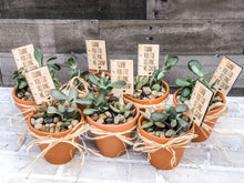 Load image into Gallery viewer, Thanks For Helping Me Grow Plant Pick - Teacher Appreciation Gift