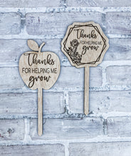 Load image into Gallery viewer, Teacher Appreciation Plant Pick - Gift