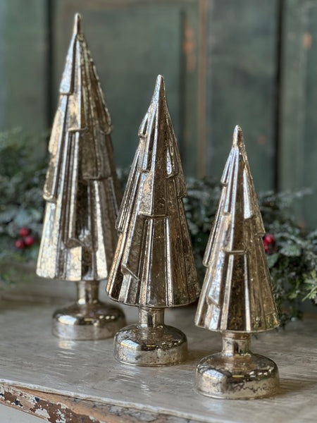 Glimmering Facet Fir