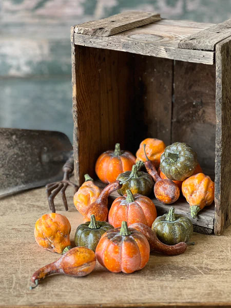 Fall's Folly Mini Pumpkins