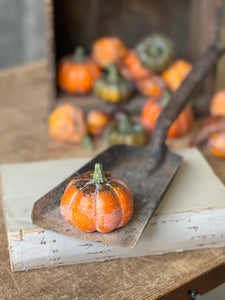 Fall's Folly Mini Pumpkins