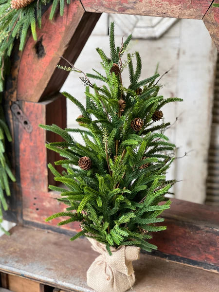 Pencil Pine Tree - Christmas Greenery - Winter Decor