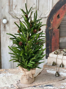 Pencil Pine Tree - Christmas Greenery - Winter Decor