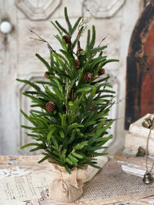 Pencil Pine Tree - Christmas Greenery - Winter Decor