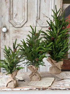 Pencil Pine Tree - Christmas Greenery - Winter Decor