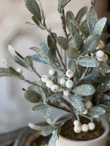 Ice Kissed Mistletoe Tree - Christmas Greenery - Winter Decor