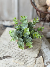 Load image into Gallery viewer, Gatehouse Herb Pot - Greenery
