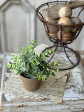 Load image into Gallery viewer, Gatehouse Herb Pot - Greenery

