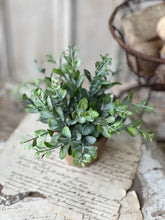 Load image into Gallery viewer, Gatehouse Herb Pot #2 - Greenery
