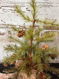Pine Tree with Cones & Burlap - Christmas Greenery - Winter Decor