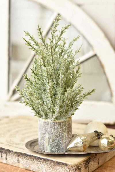 Polar Peak Pine Tree - Christmas Greenery - Winter Decor