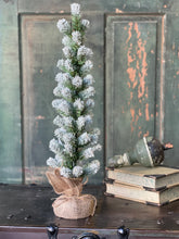 Load image into Gallery viewer, Snow Tipped Pine Tree - Christmas Greenery - Winter Decor
