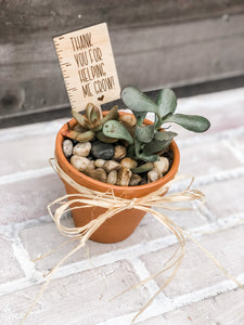 teacher appreciation succulent plant Thanks For Helping Me Grow Plant Pick