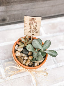 Thanks For Helping Me Grow Plant Pick - Teacher Appreciation Gift